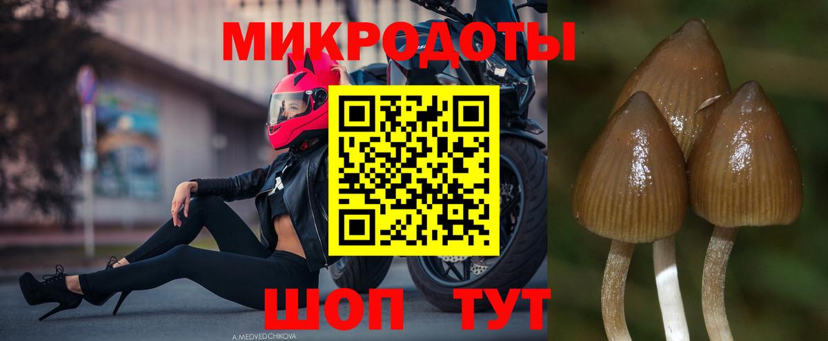 Псилоцибиновые грибы прущие грибы  Галлюциногенные грибы GOLDEN TEACHER  Егорьевск  Вход с VPN 